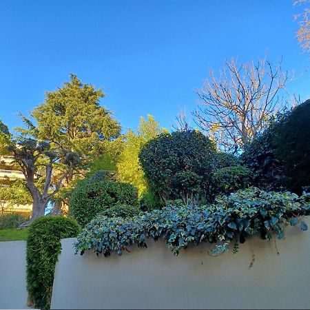Studio A Nice Avec Piscine ภายนอก รูปภาพ